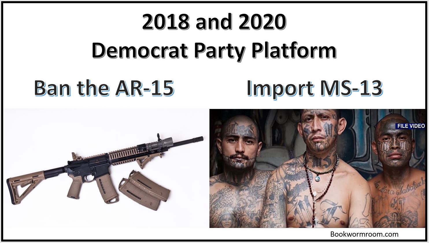 Democrats-want-ms-13-not-ar-15-party-platform.jpg