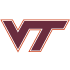 virginia_tech_wbg.png