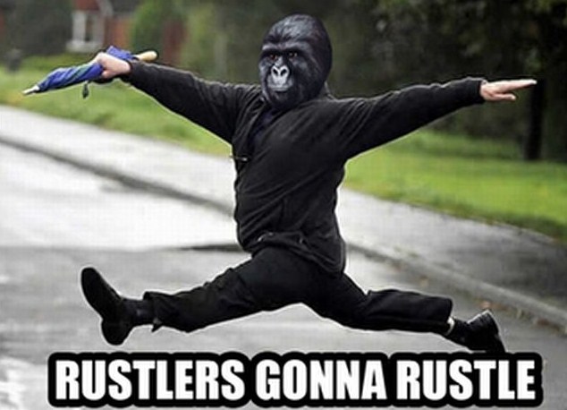 rustlers-gonna-rustle.jpg