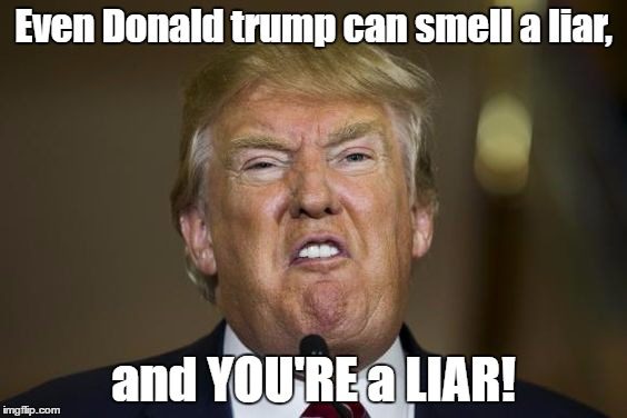 Even-Donald-Trump-Can-Smell-a-Liar-And-You-Are-A-Liar-Meme-Image.jpg