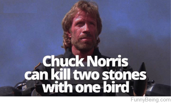 Chuck-Norris-Can-Kill-Two-Stones-600x364.png