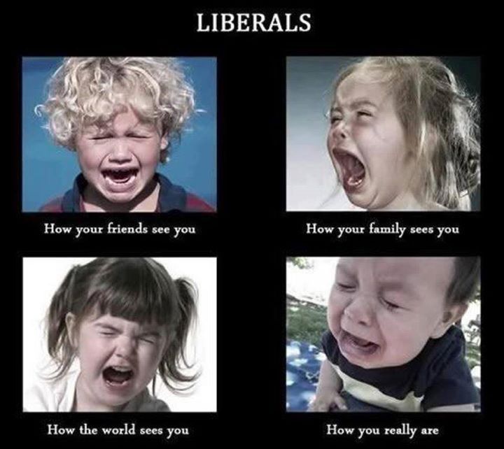 f7b662954776eeab15bb87b0054d06ad--liberal-memes-liberal-democrats.jpg