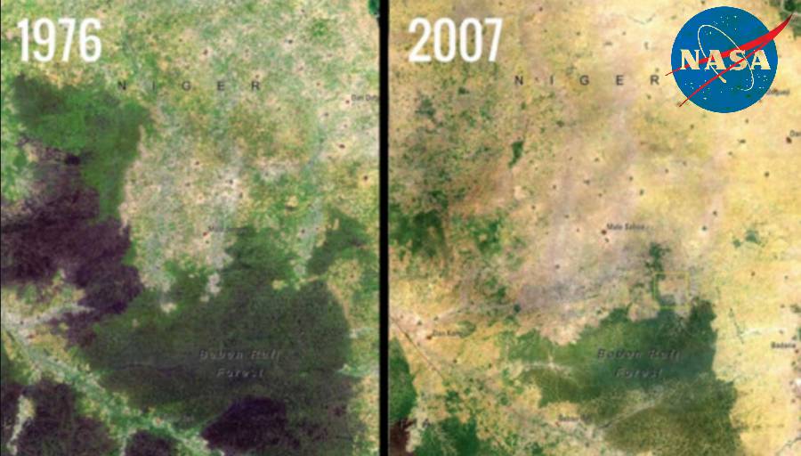 Baban-Rafi-Deforestation-Niger-satellite-image..jpg