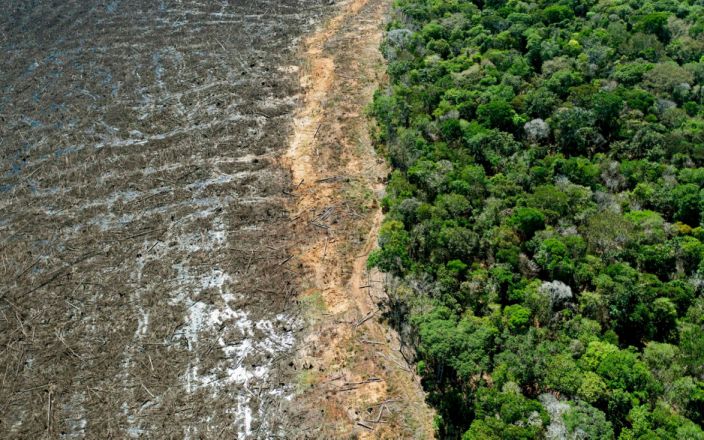Amazon-deforestation.jpg